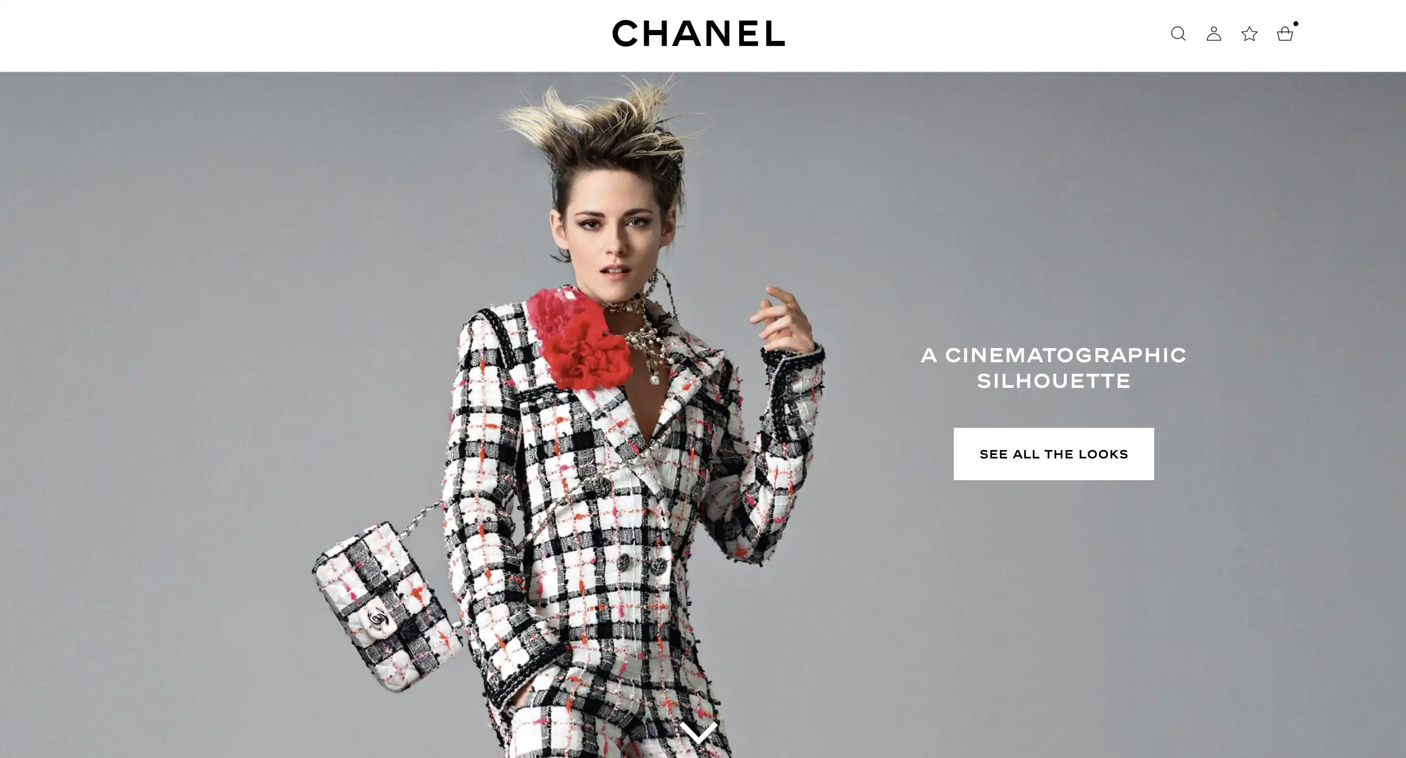 Chanel Image